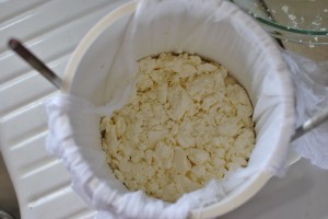 How To Make Farmhouse Cheddar Cheese- Step By Step Pictures (& Raw Milk ...