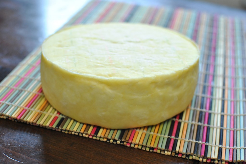 How To Make Farmhouse Cheddar Cheese- Step By Step Pictures (& Raw Milk ...