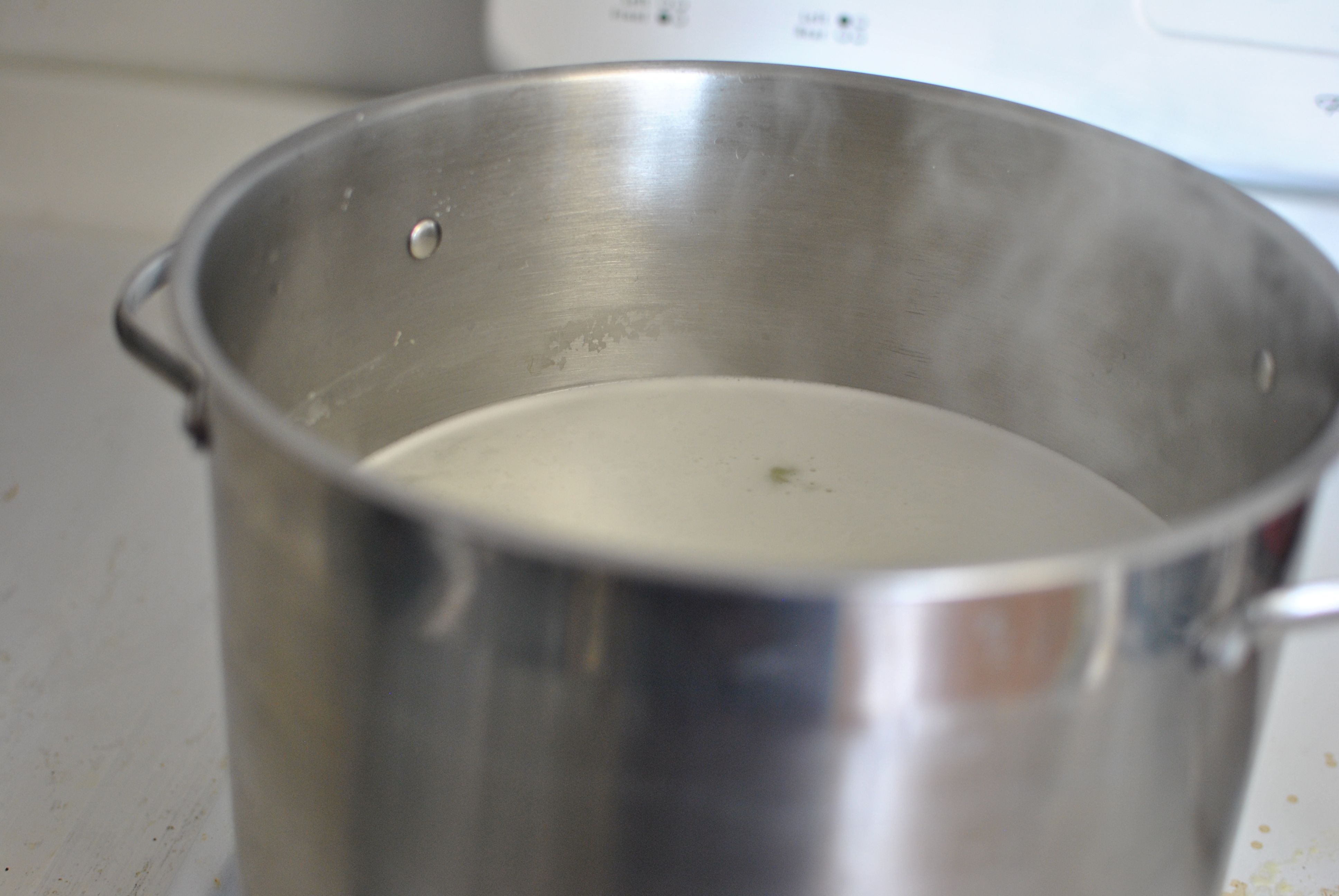 How to Make Whey Ricotta StepbyStep Guide with Pictures Cross S Ranch